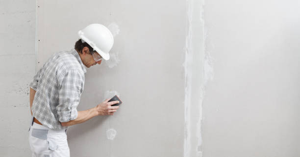 Best Painting for New Construction  in Boronda, CA